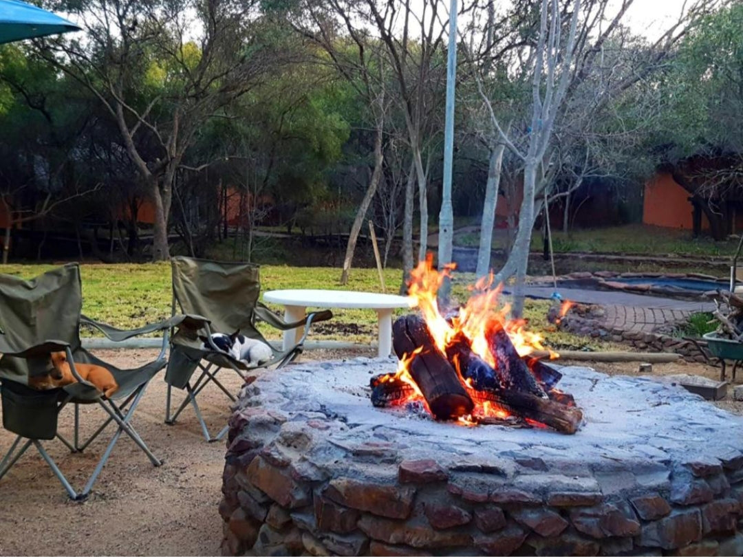 Buy 1 Get 1 Free Bush Escape!